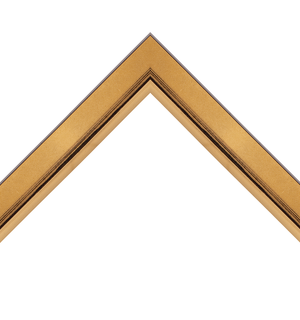 metallic gold frame with bevel lip