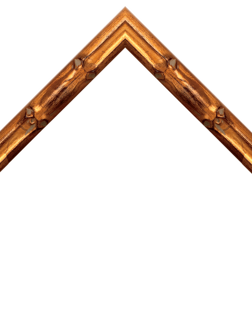 bamboo style gold frame