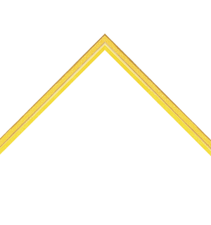 thin glossy yellow frame