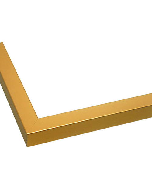 gold veneer frame