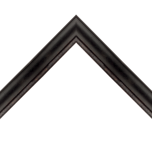 elegant black double scoop frame