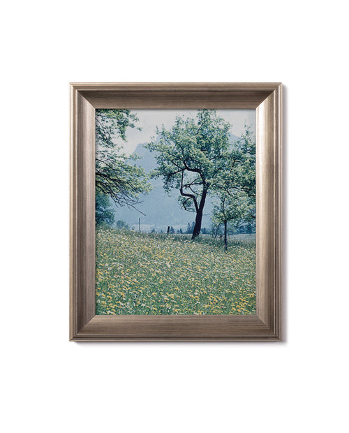 textured metallic silver frame