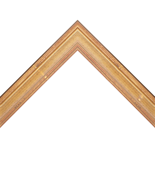 light gold distressed frame