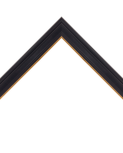 black frame with gold inner lip