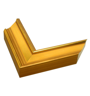 raised edge gold frame
