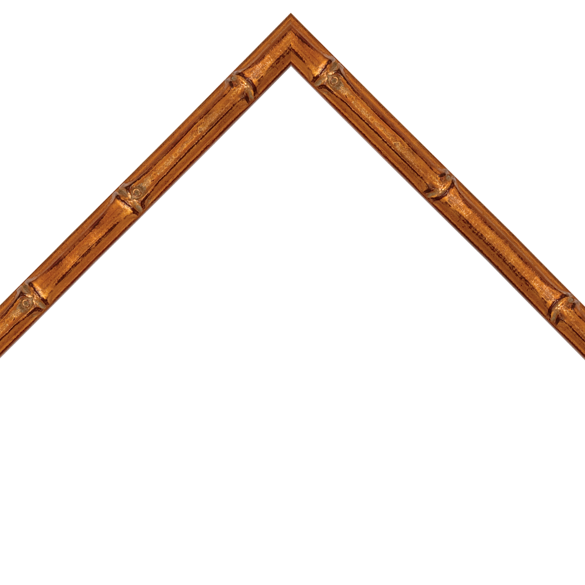 thin bamboo style gold frame