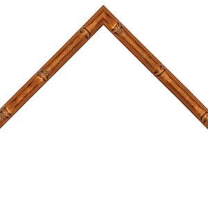 thin bamboo style gold frame