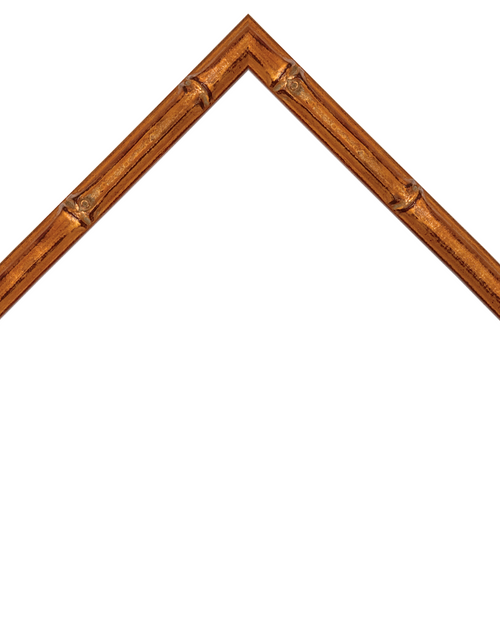 thin bamboo style gold frame
