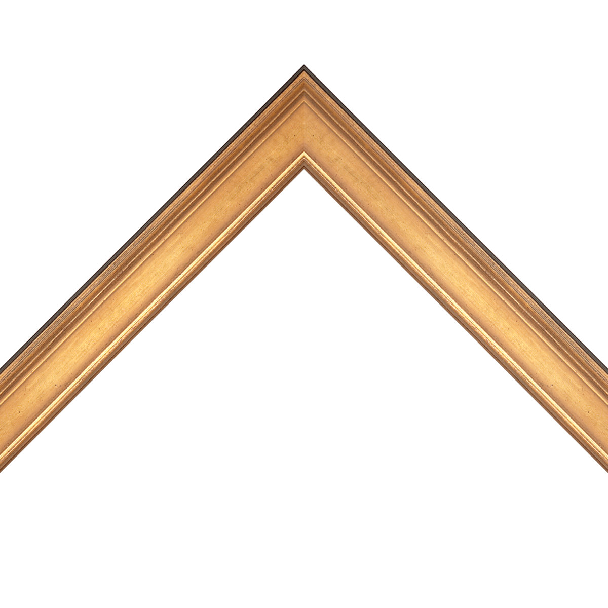 gold leaf frame with lip