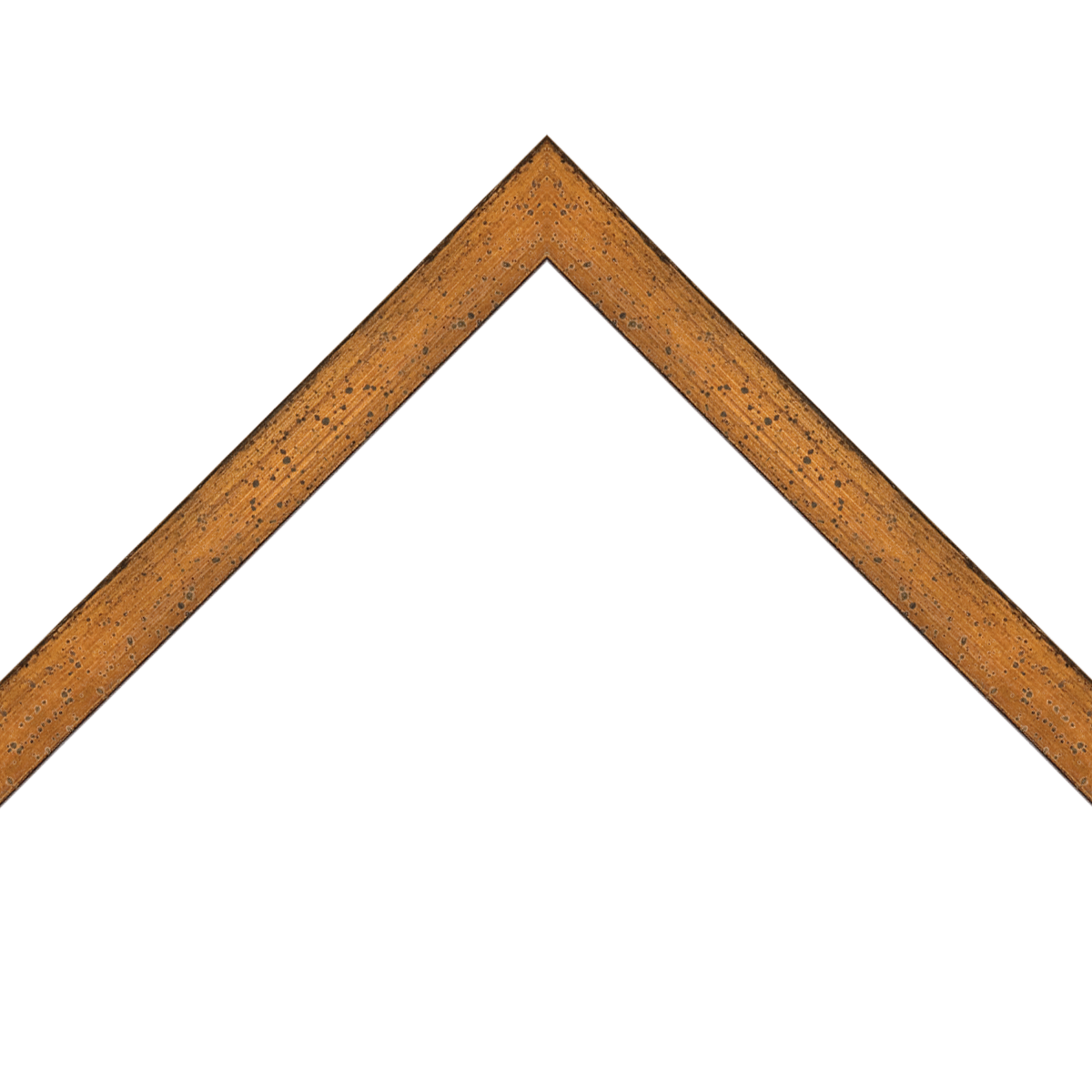 distressed spotted gold frame