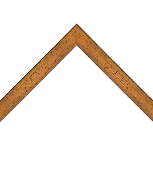 distressed spotted gold frame