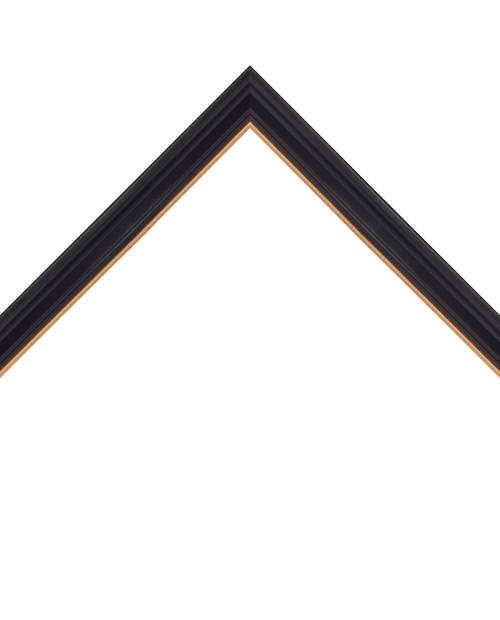 thin black frame with gold inner lip