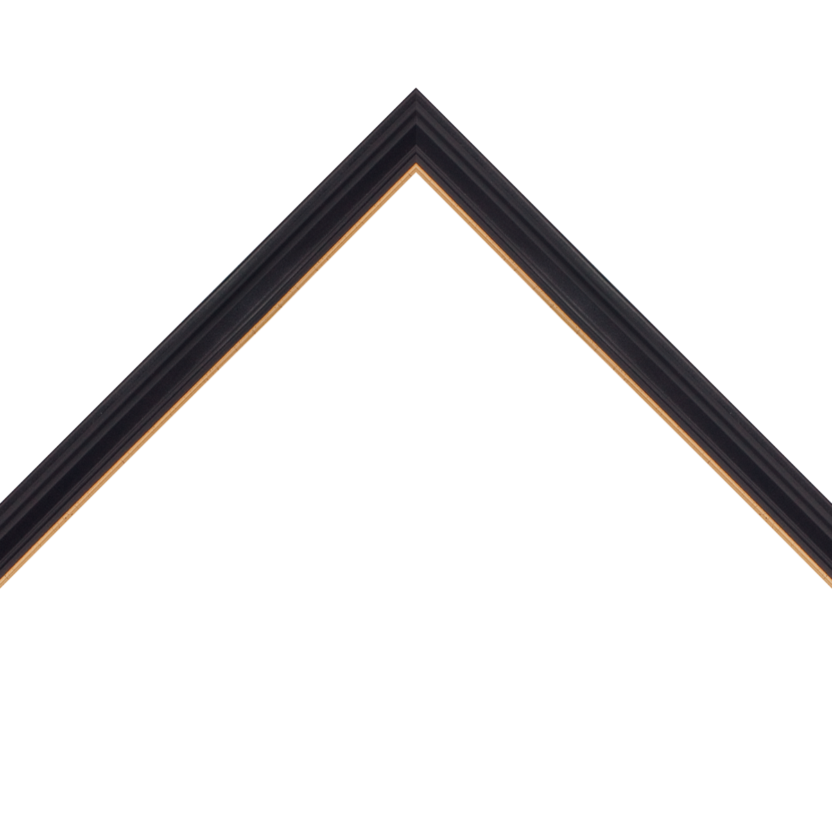 thin black frame with gold inner lip