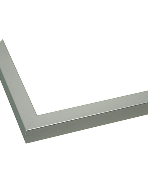 silver veneer frame