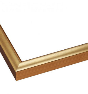 thin metallic gold frame 