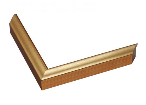 thin metallic gold frame 