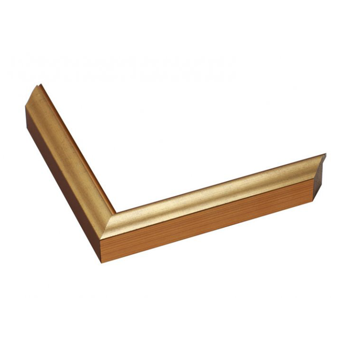 thin metallic gold frame 