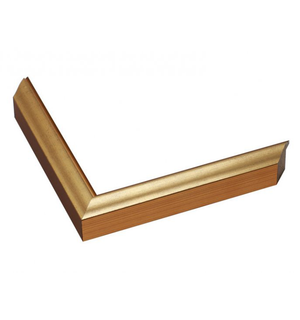 thin metallic gold frame 