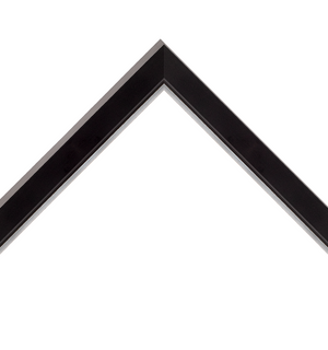 matte black frame with silver inner trim