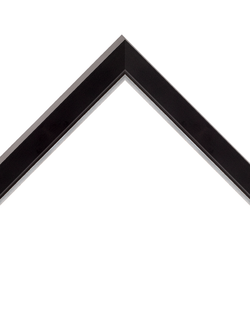 matte black frame with silver inner trim