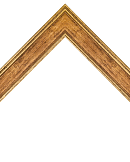 distressed gold frame