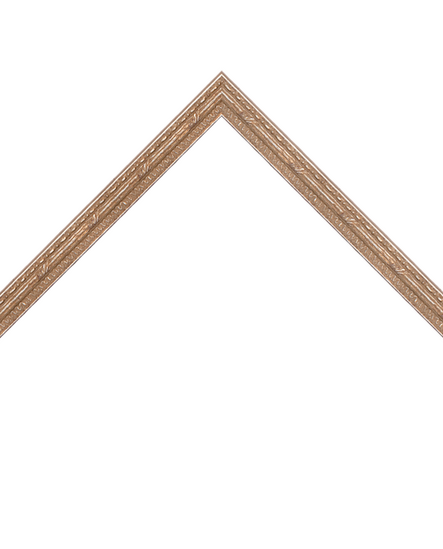 thin ornate silver frame