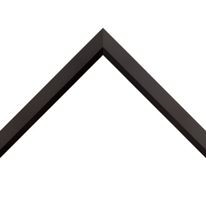 angled matte black frame