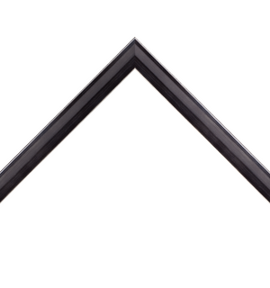 thin glossy black frame