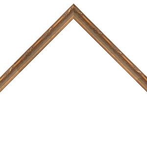 thin ornate gold frame