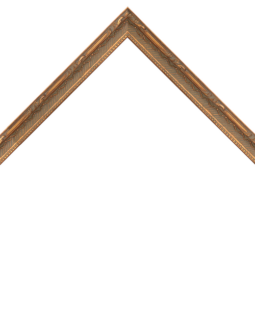 thin ornate gold frame