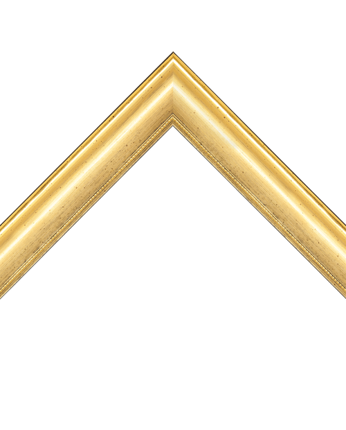 distressed gold frame with dotted lip