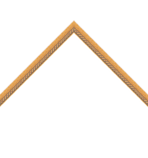 thin gold frame with rope emboss