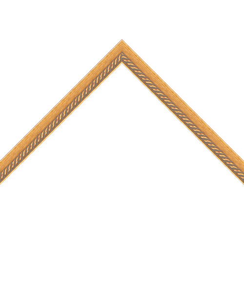 thin gold frame with rope emboss