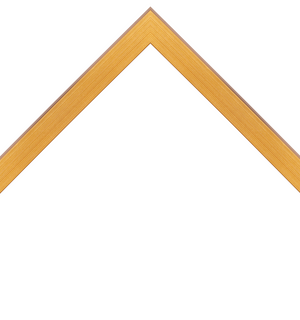 flat metallic gold frame