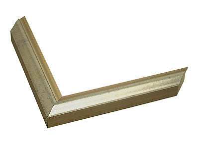 metallic silver frame