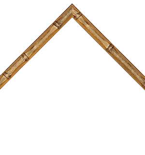thin bamboo style silver frame