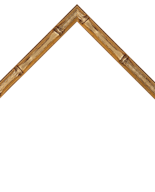 thin bamboo style silver frame