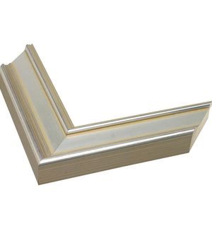 raised edge silver frame