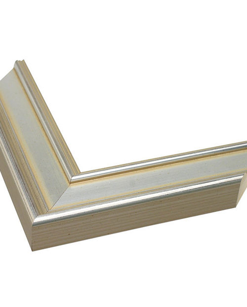 raised edge silver frame