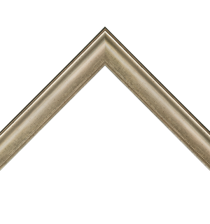 distressed silver frame with dotted lip