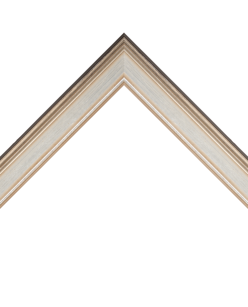 silver leaf frame with lip