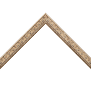 ornate silver frame with star flower emboss