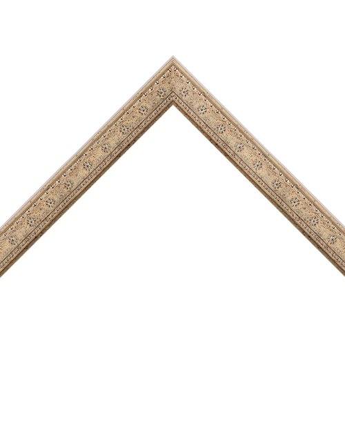 ornate silver frame with star flower emboss