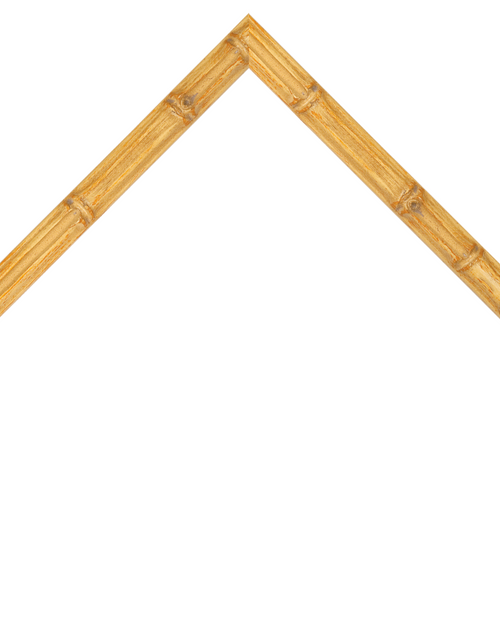 thin bamboo style white frame