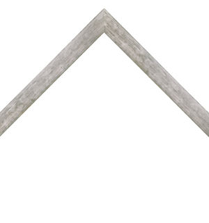 thin sleek silver frame