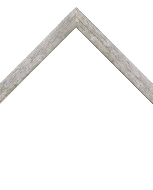 thin sleek silver frame