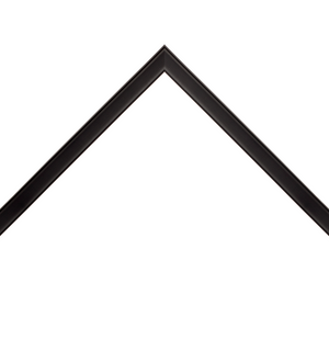 thin matte black frame