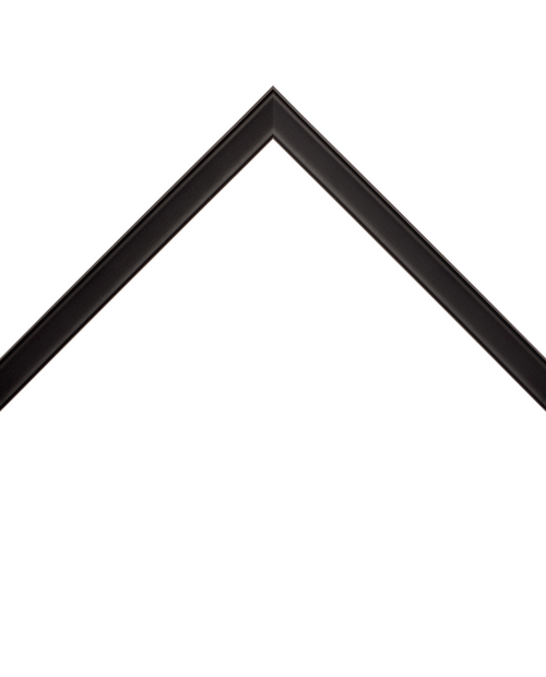 thin matte black frame