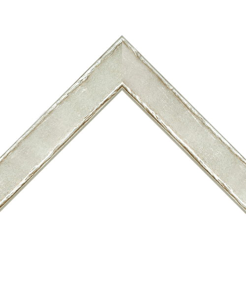 aged silver rustic frame