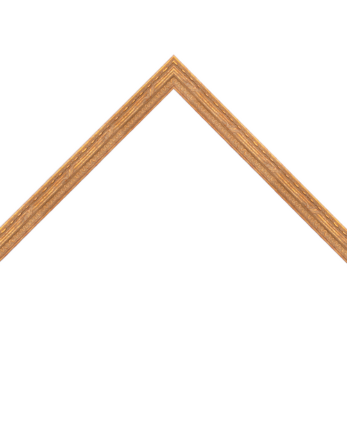 thin ornate gold frame